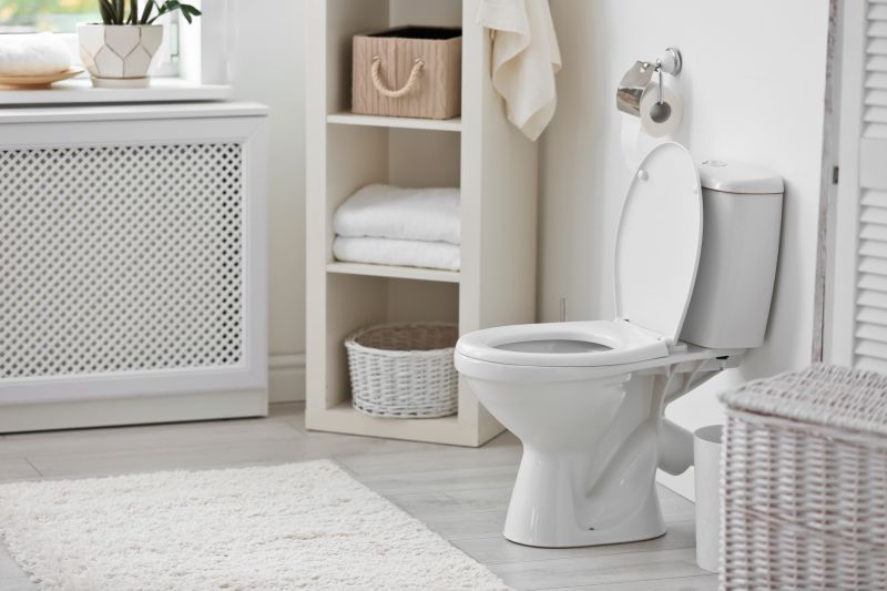 Backed Up Toilet Repair in Columbus, OH