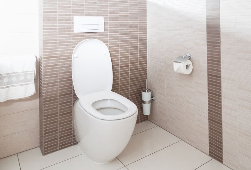 Toilet Repair in Denver, CO