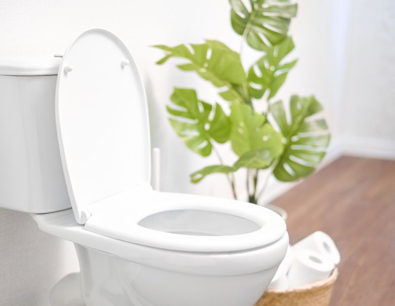 Toilet Tank Repair in Denver, CO